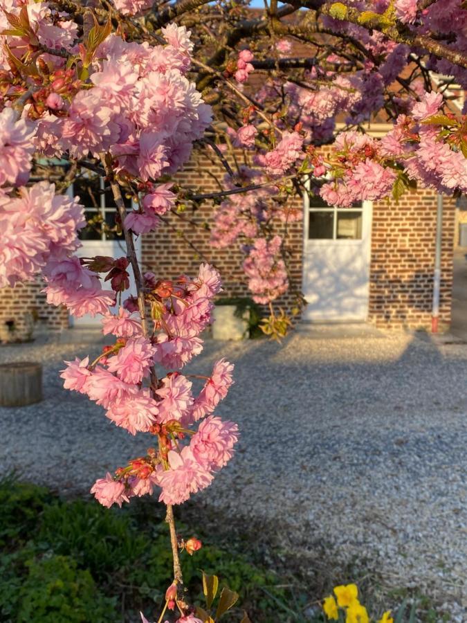 Вілла Le Domaine Des Saules Richebourg  Екстер'єр фото
